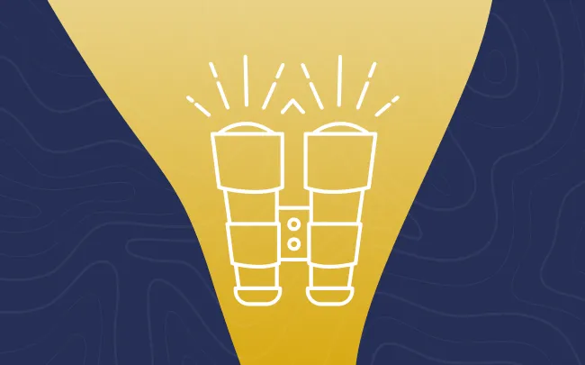 Communication & Feedback